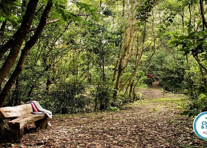 Pensjonat Casa Do Populo Ponta Delgada