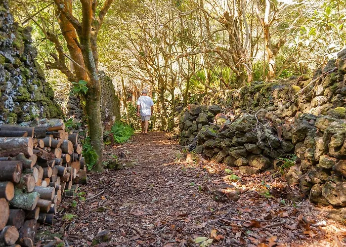 Casa Do Populo Pensjonat Ponta Delgada