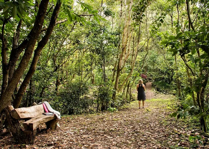 Pensjonat Casa Do Populo Ponta Delgada