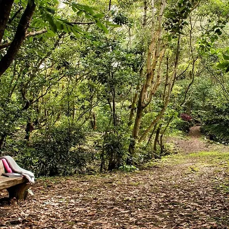 Maison d'hôtes Casa Do Populo Ponta Delgada