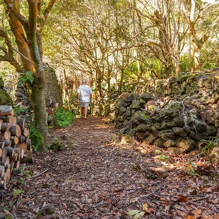 Casa Do Populo Maison d'hôtes Ponta Delgada
