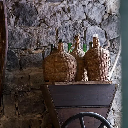 Casa Do Populo Penzion