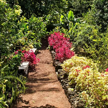 Maison d'hôtes Casa Do Populo 4*