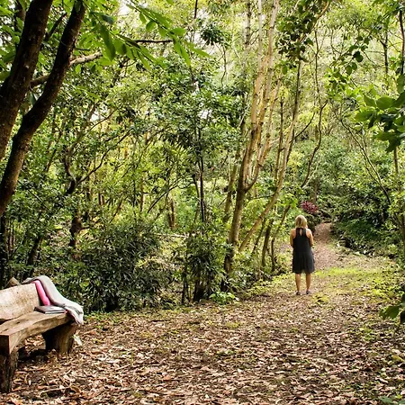 Pensjonat Casa Do Populo Ponta Delgada