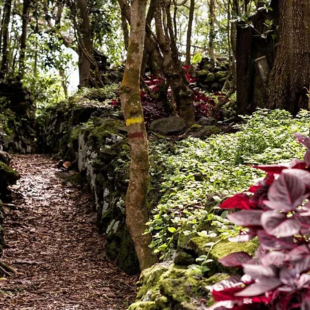 Casa Do Populo Guest house