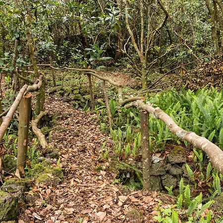 Pensjonat Casa Do Populo 4*