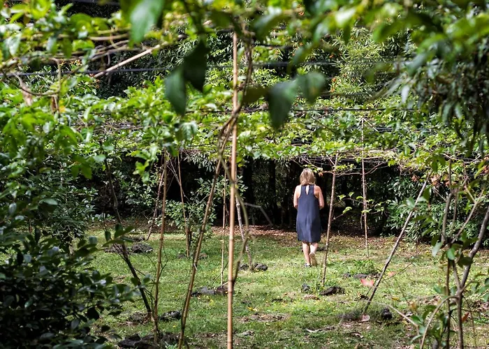 Guest house Casa Do Populo Ponta Delgada (Sao Miguel)