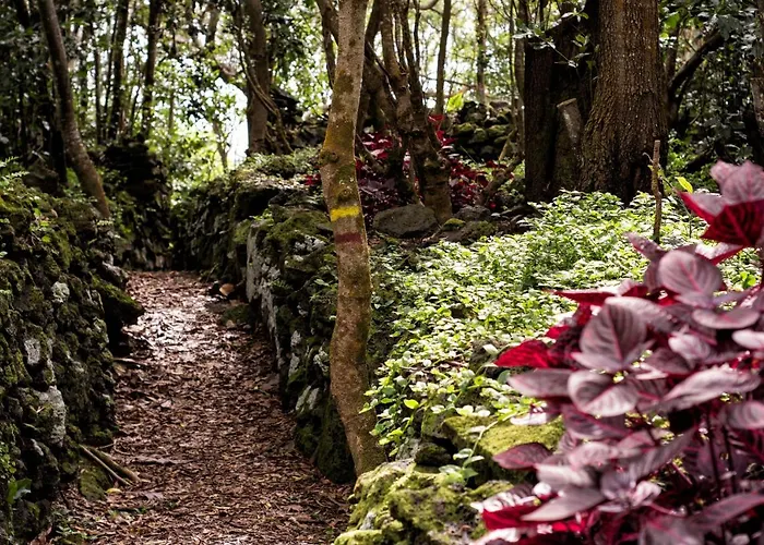 Casa Do Populo Guest house