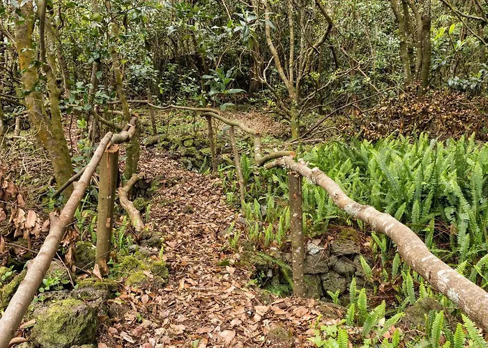 Guest house Casa Do Populo 4*